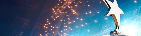 Erfolge und Auszeichnungen